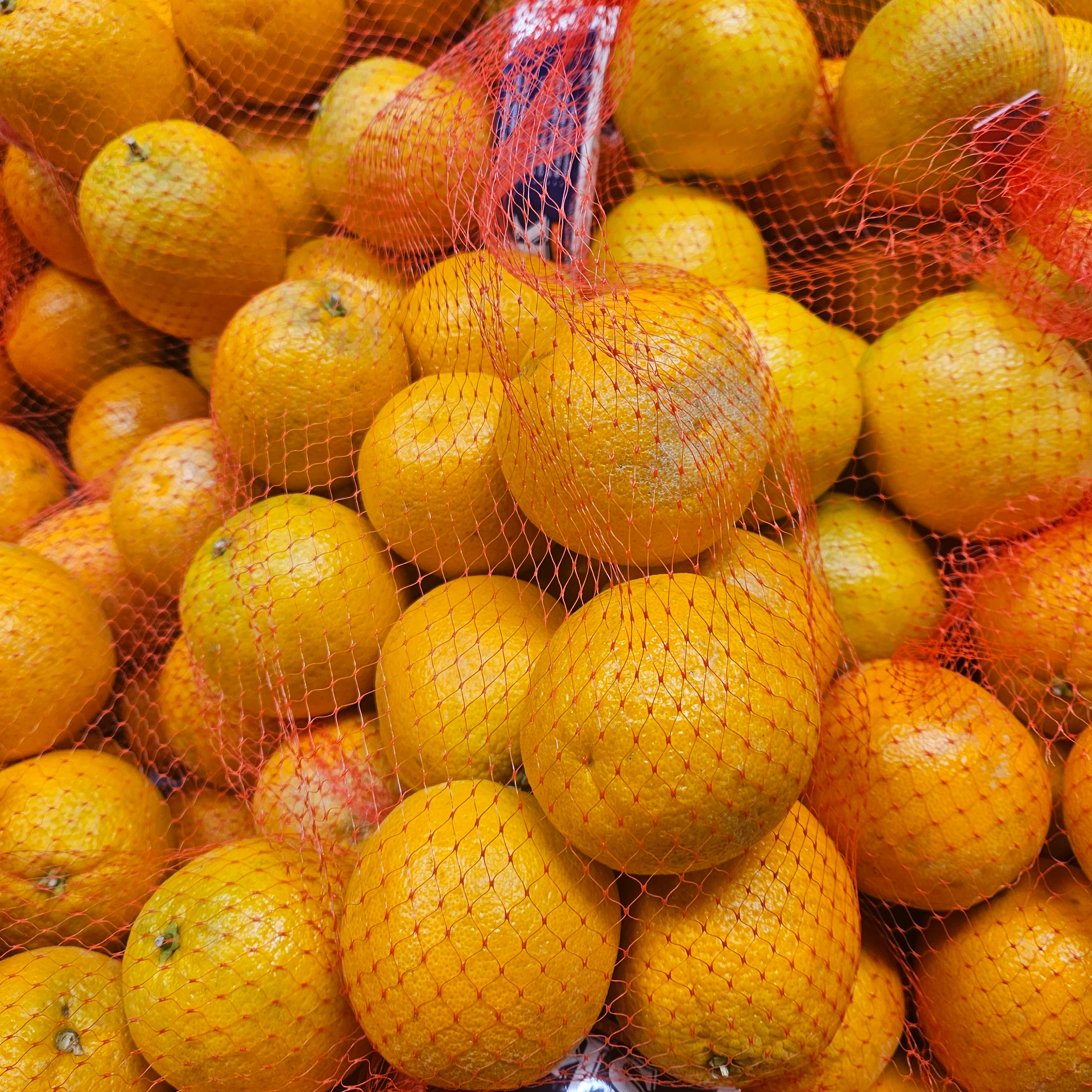 Navel Orange 4lb/bag, 네이블 오렌지 4lb/bag