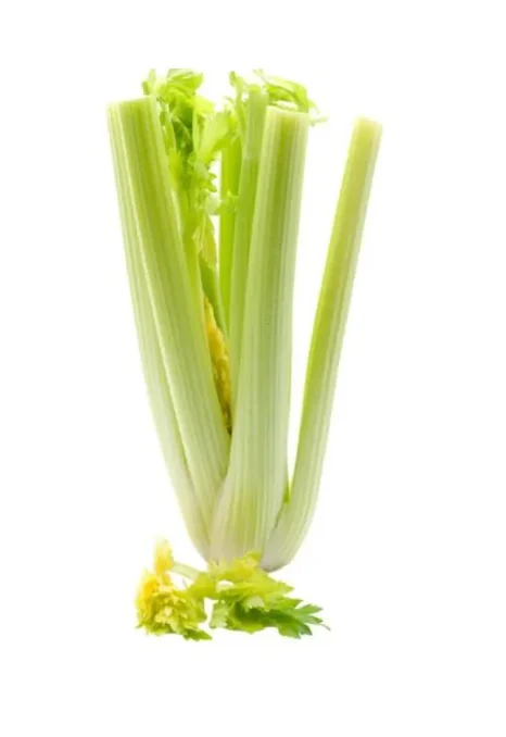 CELERY ea