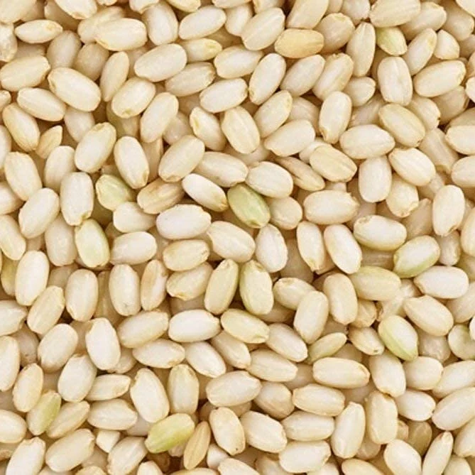 Rom Brown Sweet Rice 2LB, 롬 현미 찹쌀 900g - Image 2