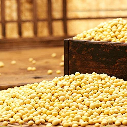 Rom NON-GMO SoyBeans 4lb, 롬 메주콩 1.81kg - Image 2