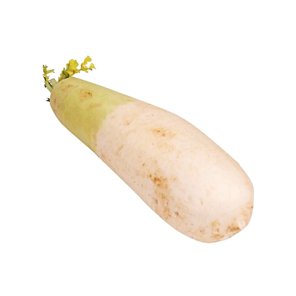 Korean Radish lb, 한국 무 lb