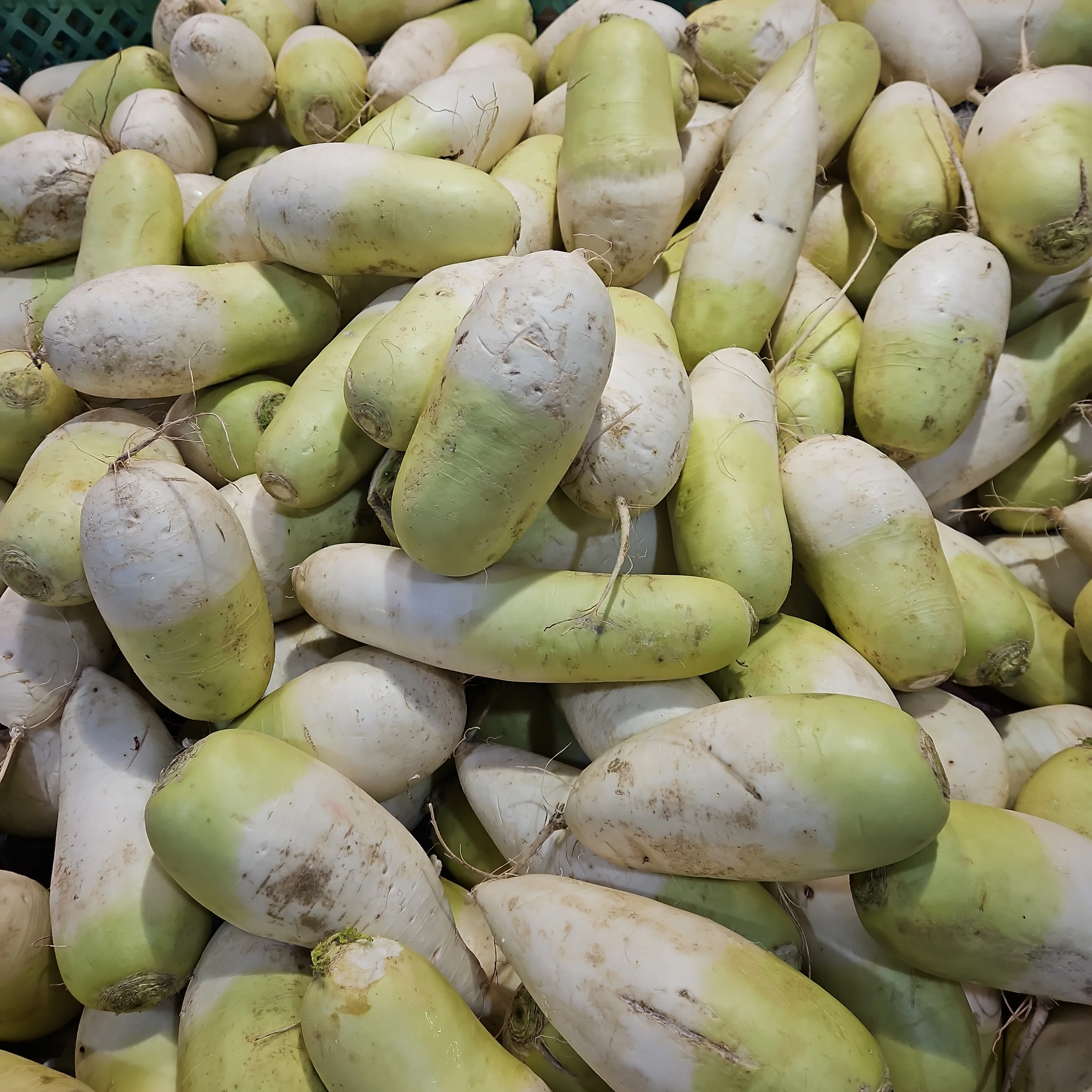 Korean Radish lb, 한국 무 lb - Image 5