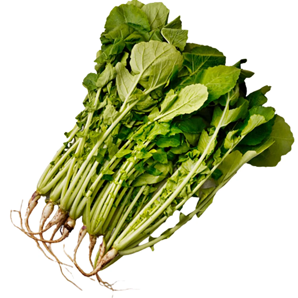 [Local Only] Baby Radich 1 bunch, 열무 ea  (사전 공지 없이 품절될 수 있습니다.)