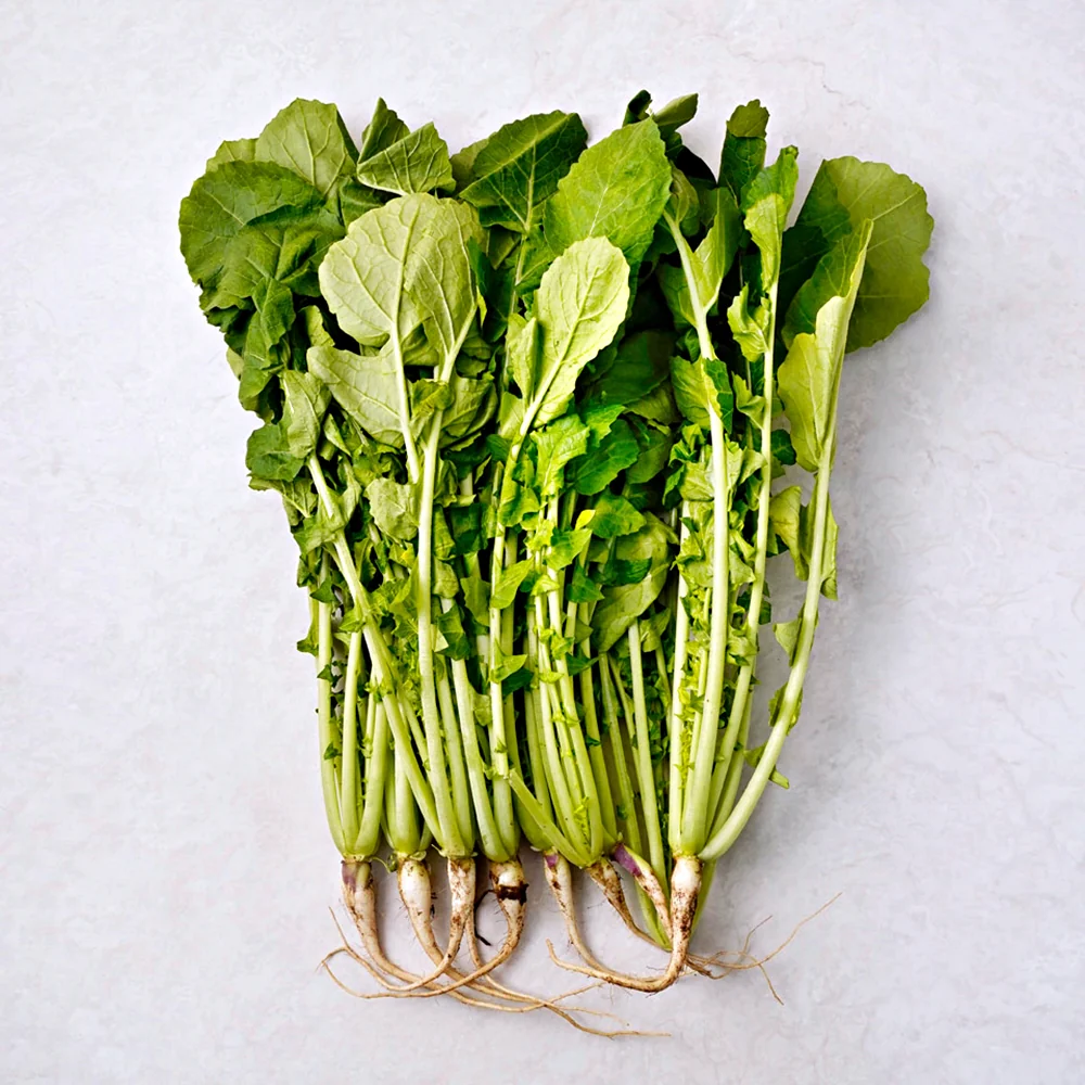 [Local Only] Baby Radich 1 bunch, 열무 ea  (사전 공지 없이 품절될 수 있습니다.) - Image 2