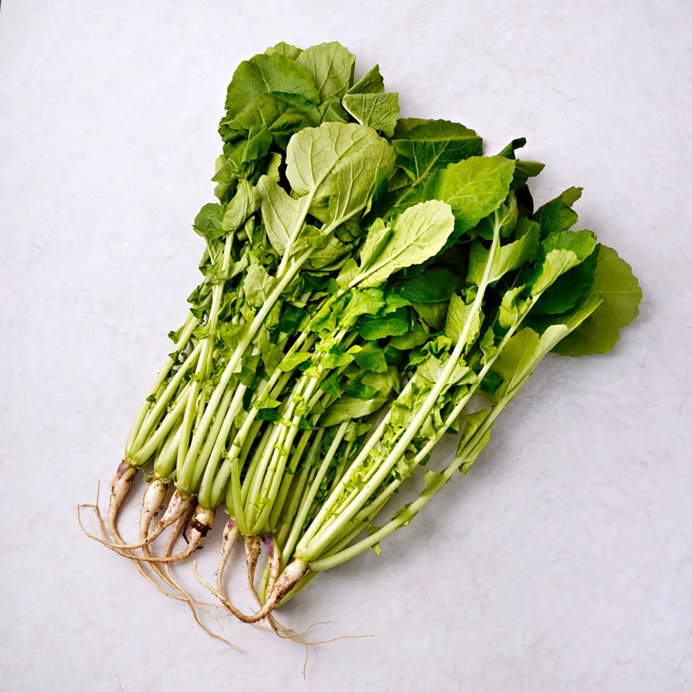 [Local Only] Baby Radich 1 bunch, 열무 ea  (사전 공지 없이 품절될 수 있습니다.) - Image 3