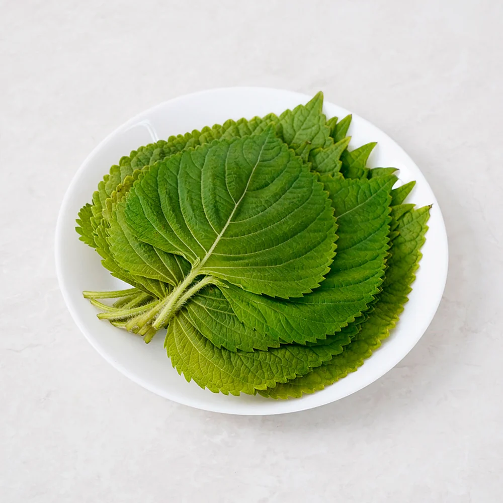 Sesame Leaf 3 bunch, 깻잎 1 pack - Image 3