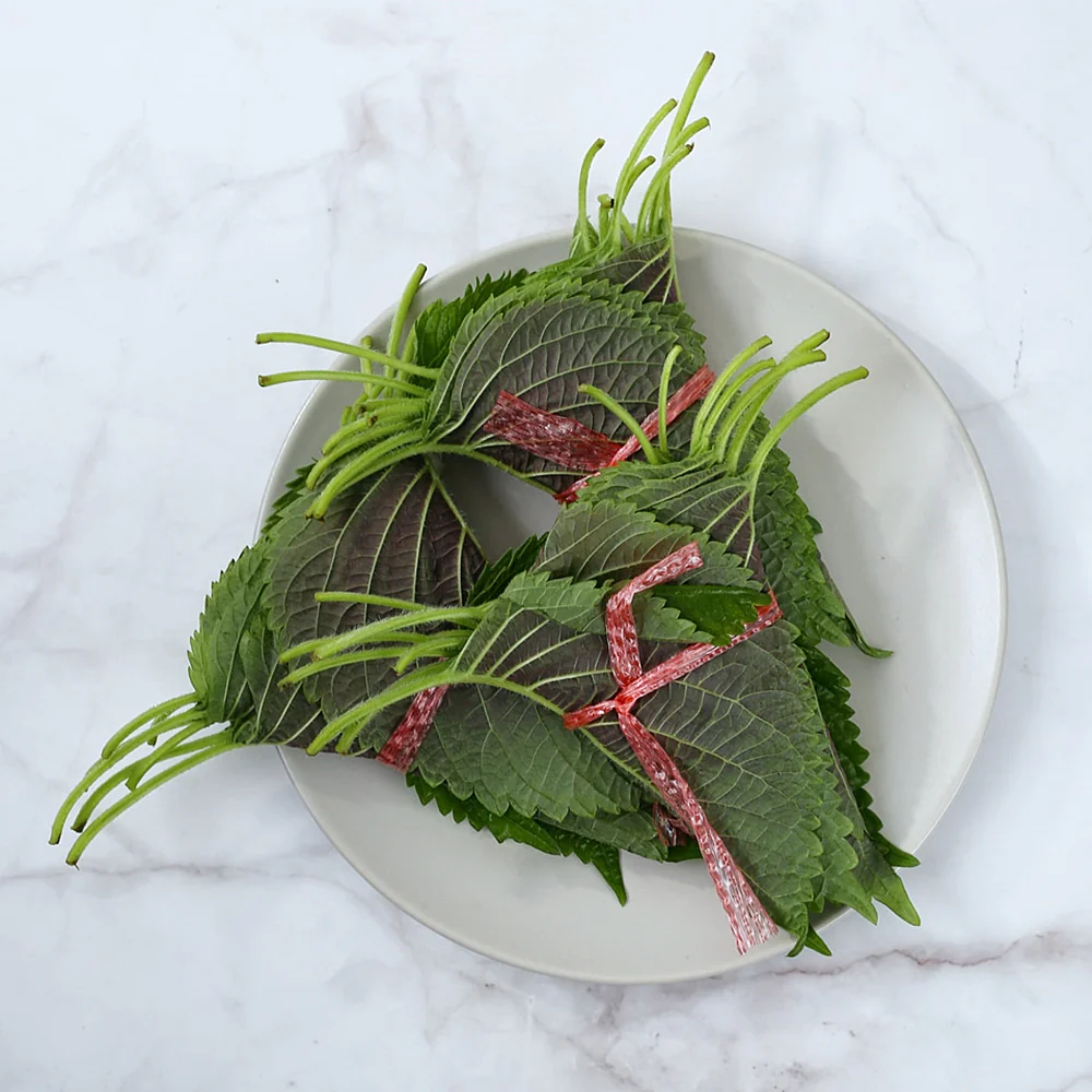 Sesame Leaf 3 bunch, 깻잎 1 pack - Image 4