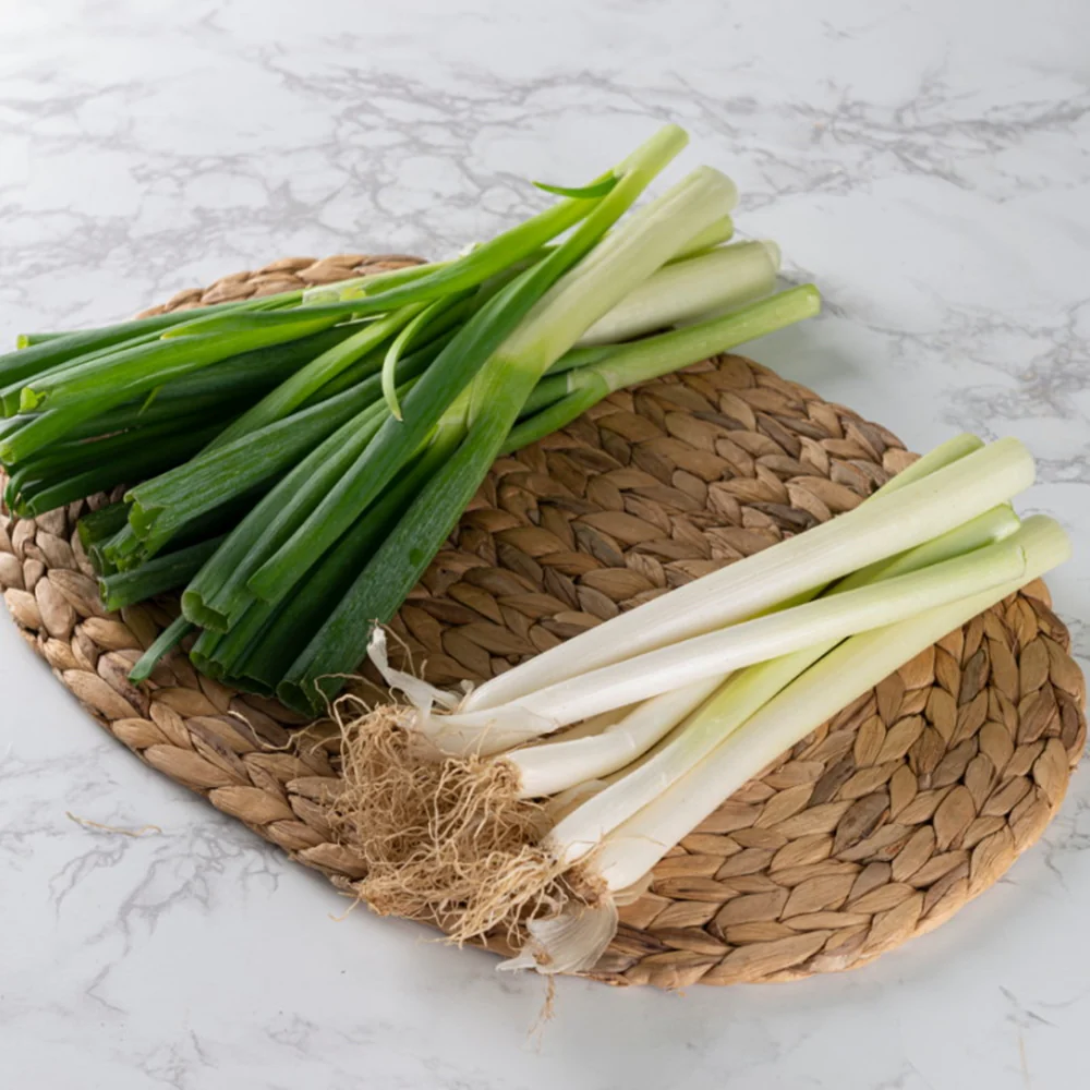 [Local Only ] Daepa 1 bunch, 대파 - Image 2