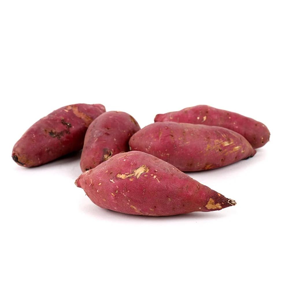 Korean Sweet Potato lb, 한국 햇고구마 453g