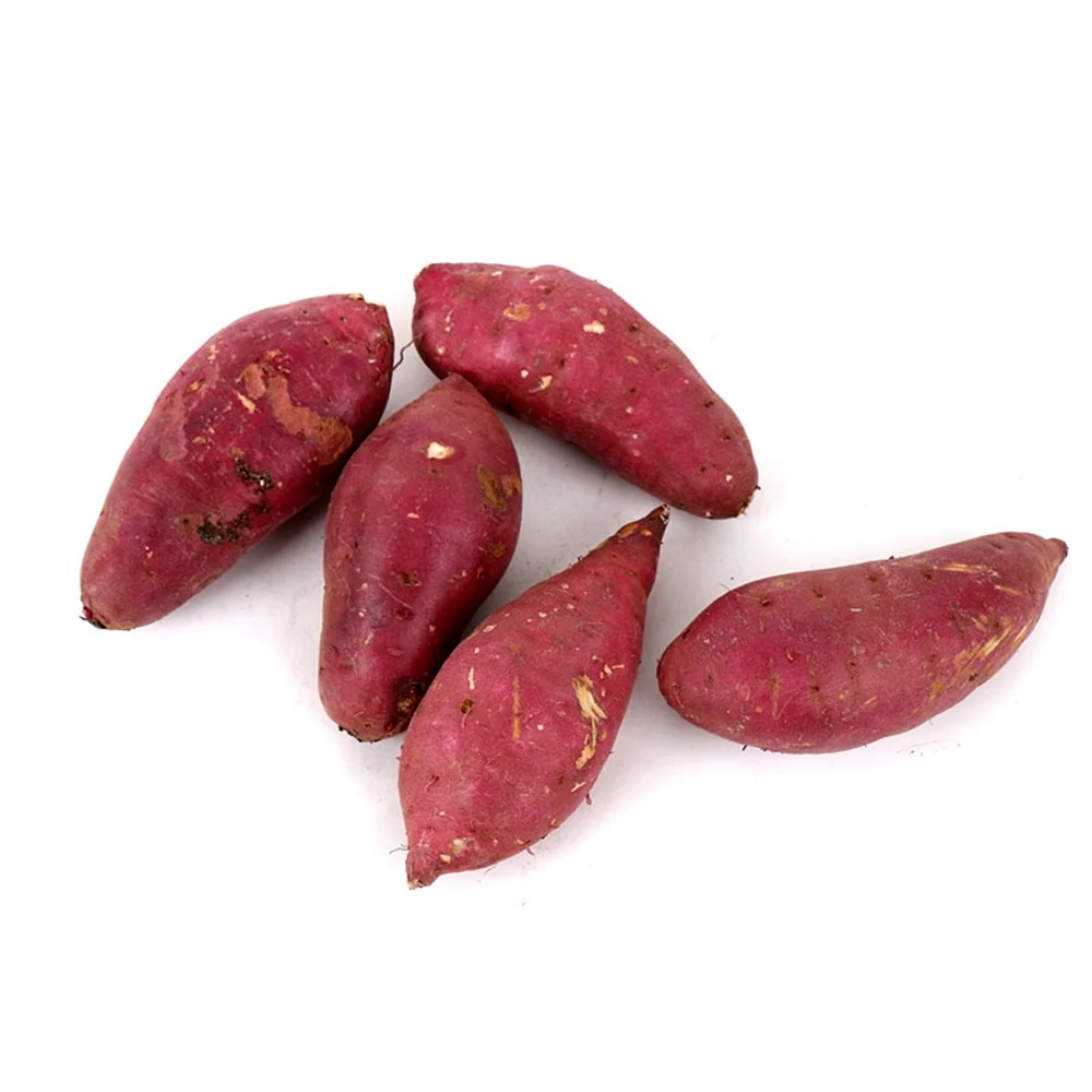 Korean Sweet Potato lb, 한국 햇고구마 453g - Image 6