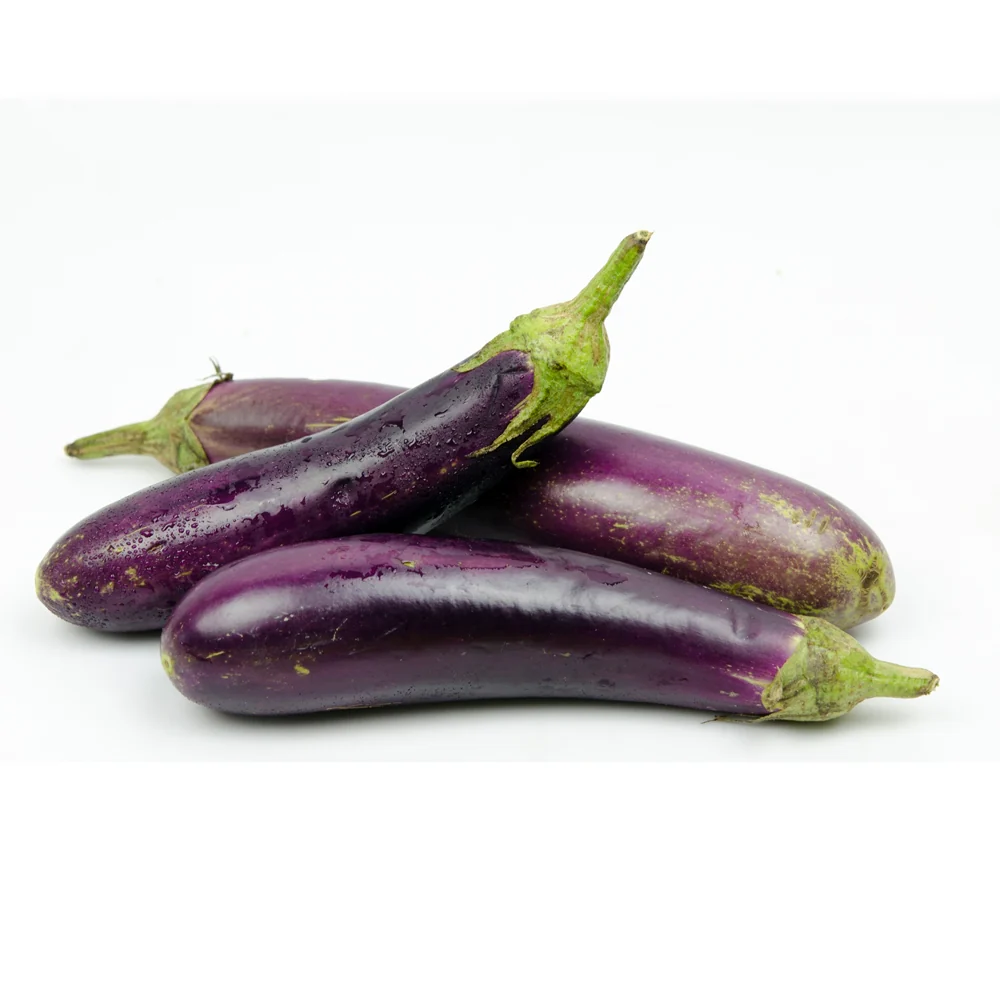 Chinese Eggplant lb, 가지 lb