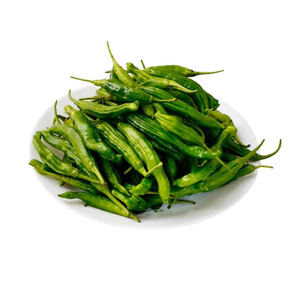 Twisted Pepper lb, 꽈리고추 lb