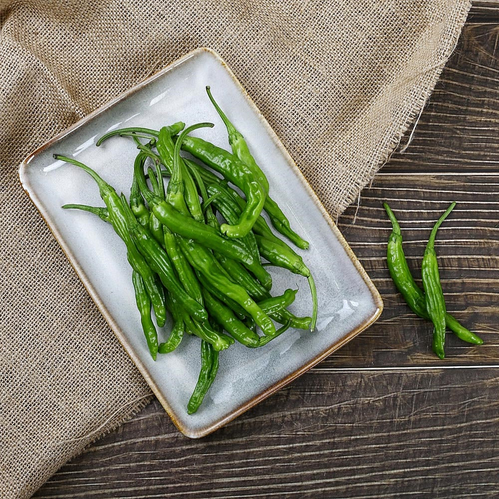 Twisted Pepper lb, 꽈리고추 lb - Image 3