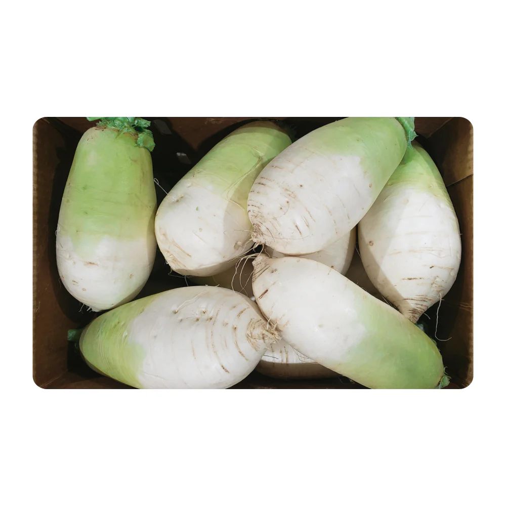 [Local Only] Korean Radish 1 Box, 무 1 Box - Image 2