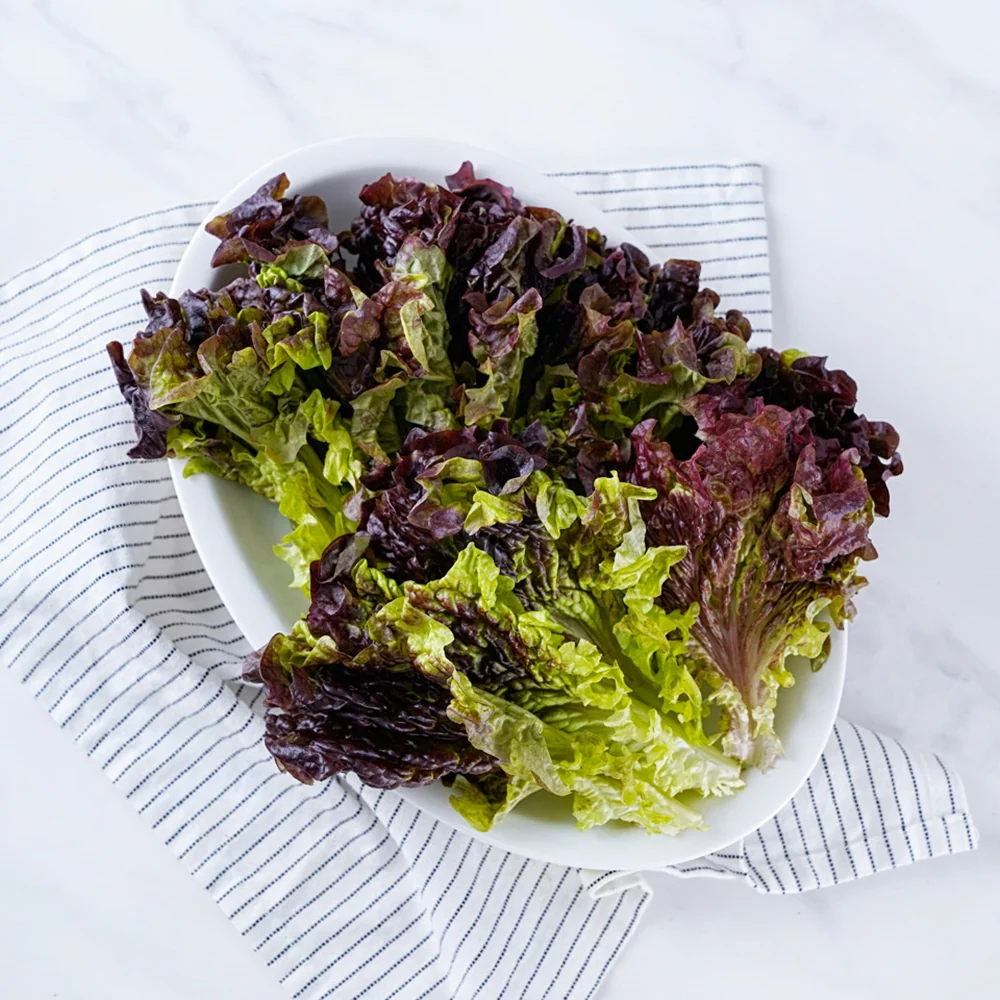 [Local Only] Korean Red Leaf Lettuce 1 pack, 적상추 1ea - Image 2