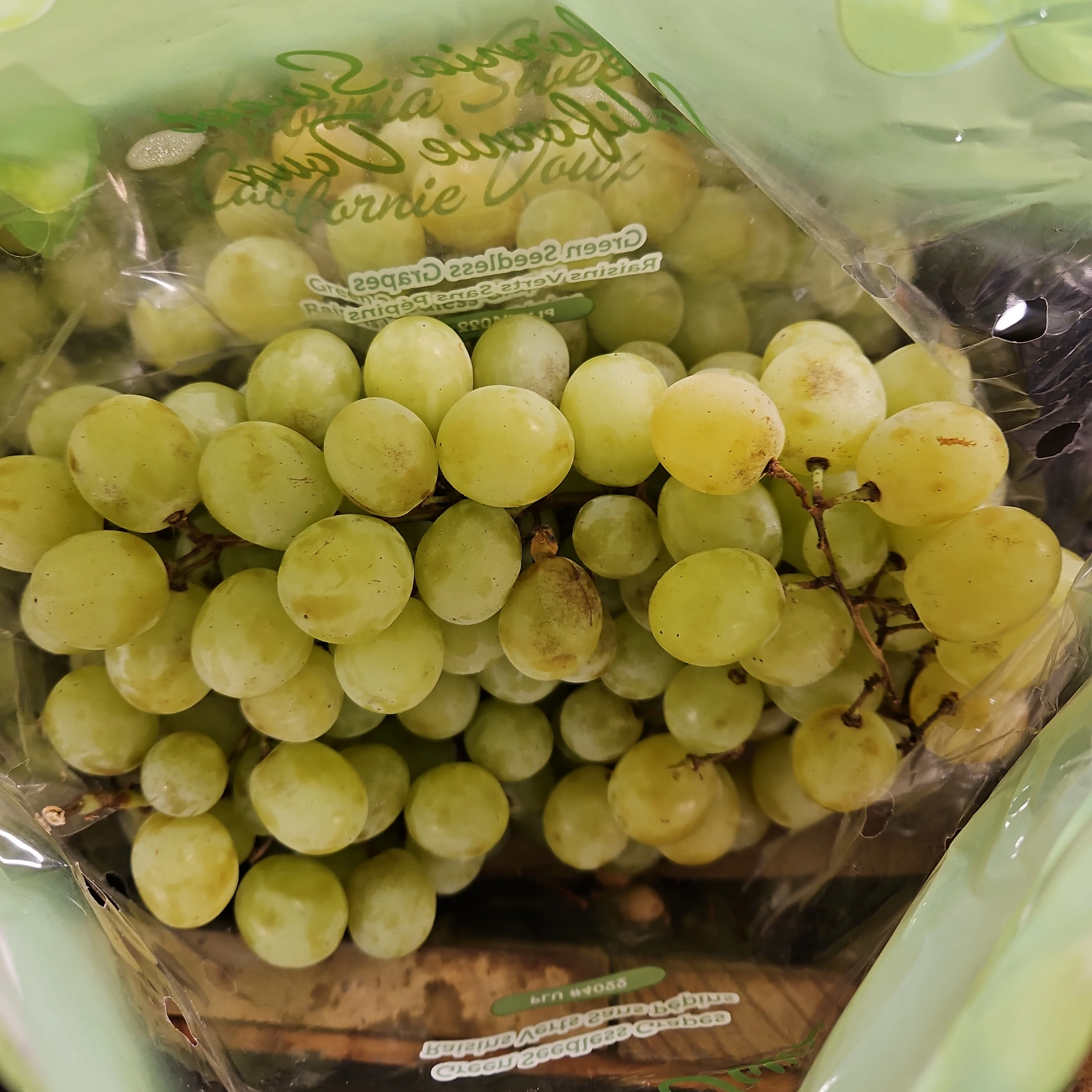 [LOCAL ONLY] WHITE SEEDLESS GRAPE lb , 씨없는 청포도 LB - Image 3