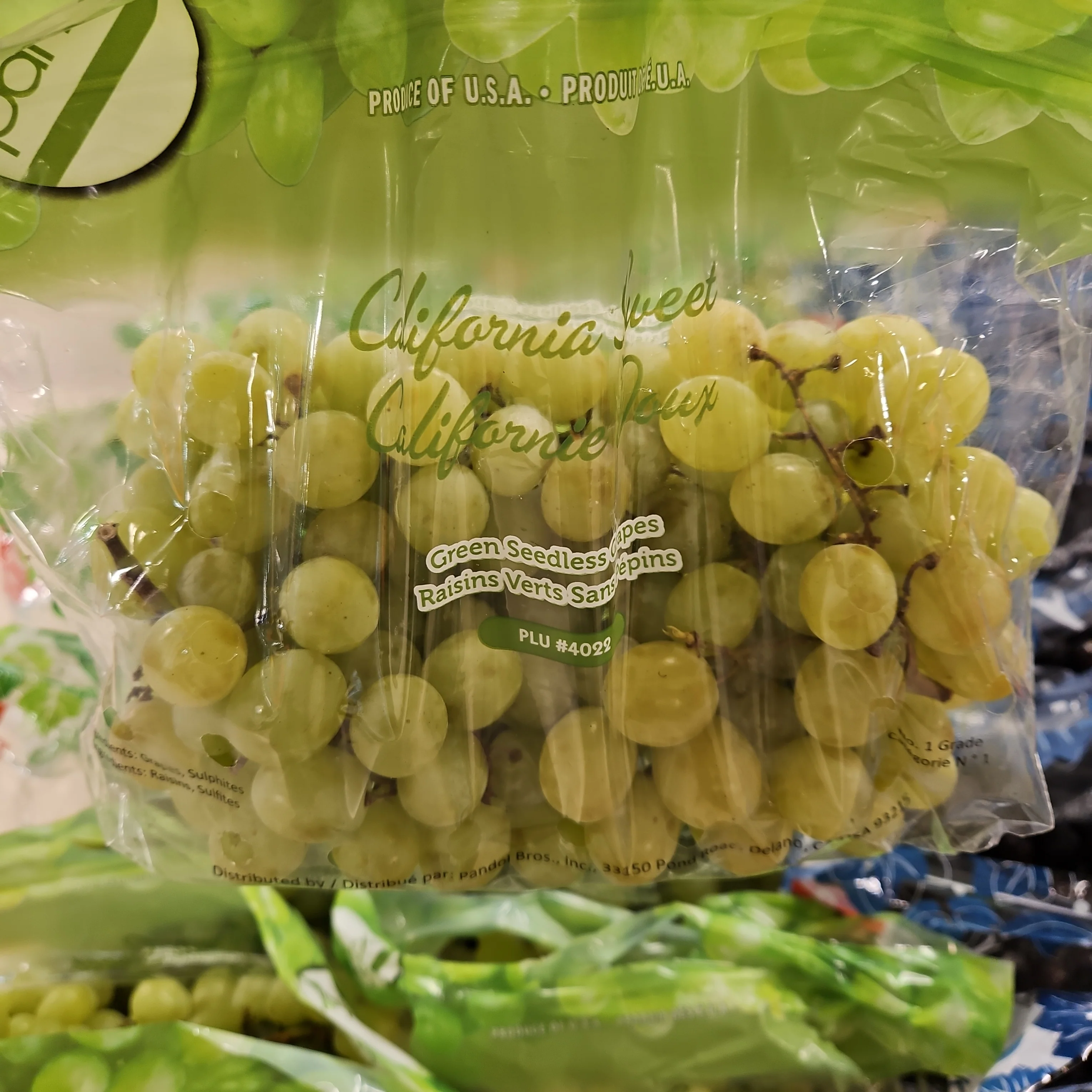 [LOCAL ONLY] WHITE SEEDLESS GRAPE lb , 씨없는 청포도 LB - Image 4