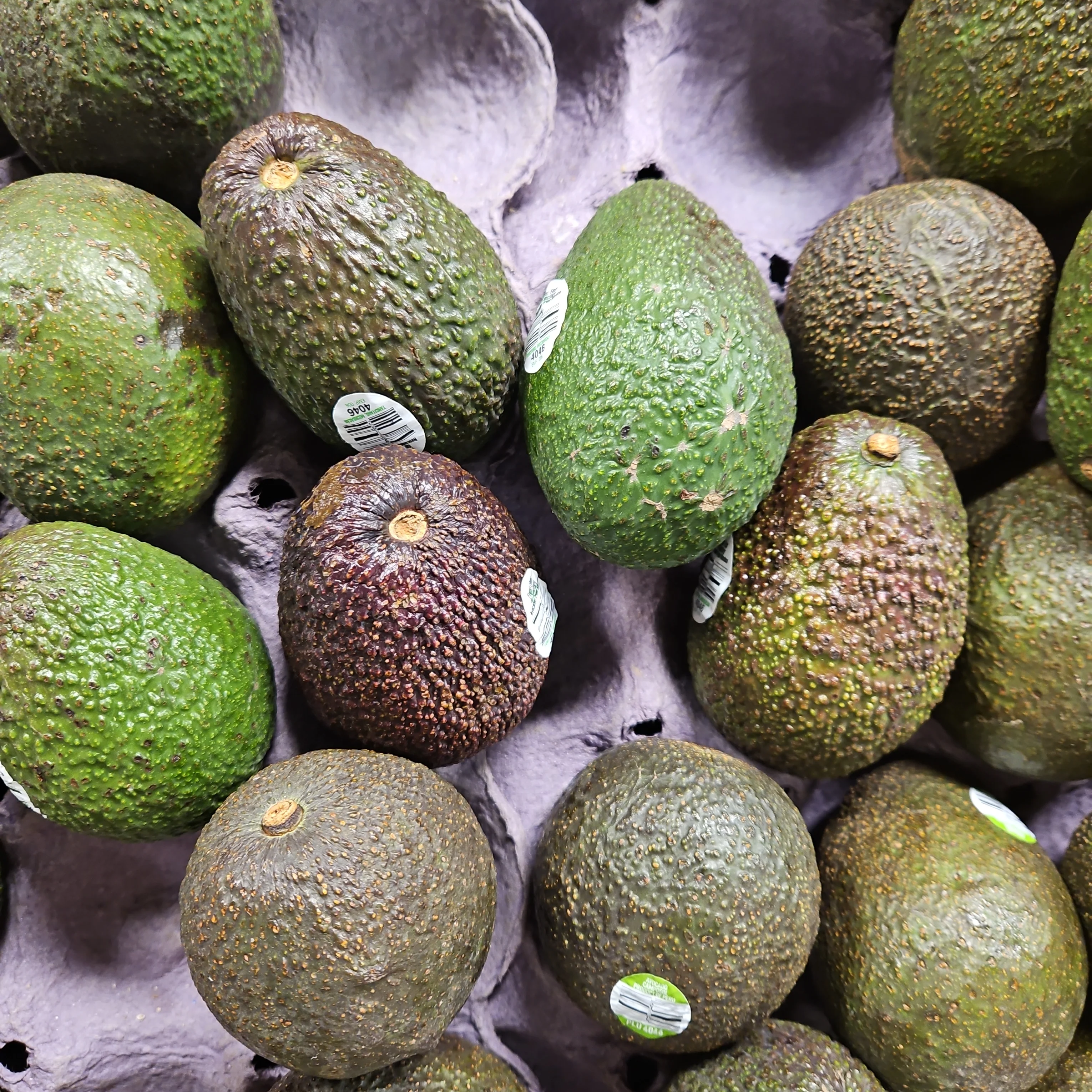 Avocado 1ea, 아보카도 1ea - Image 6