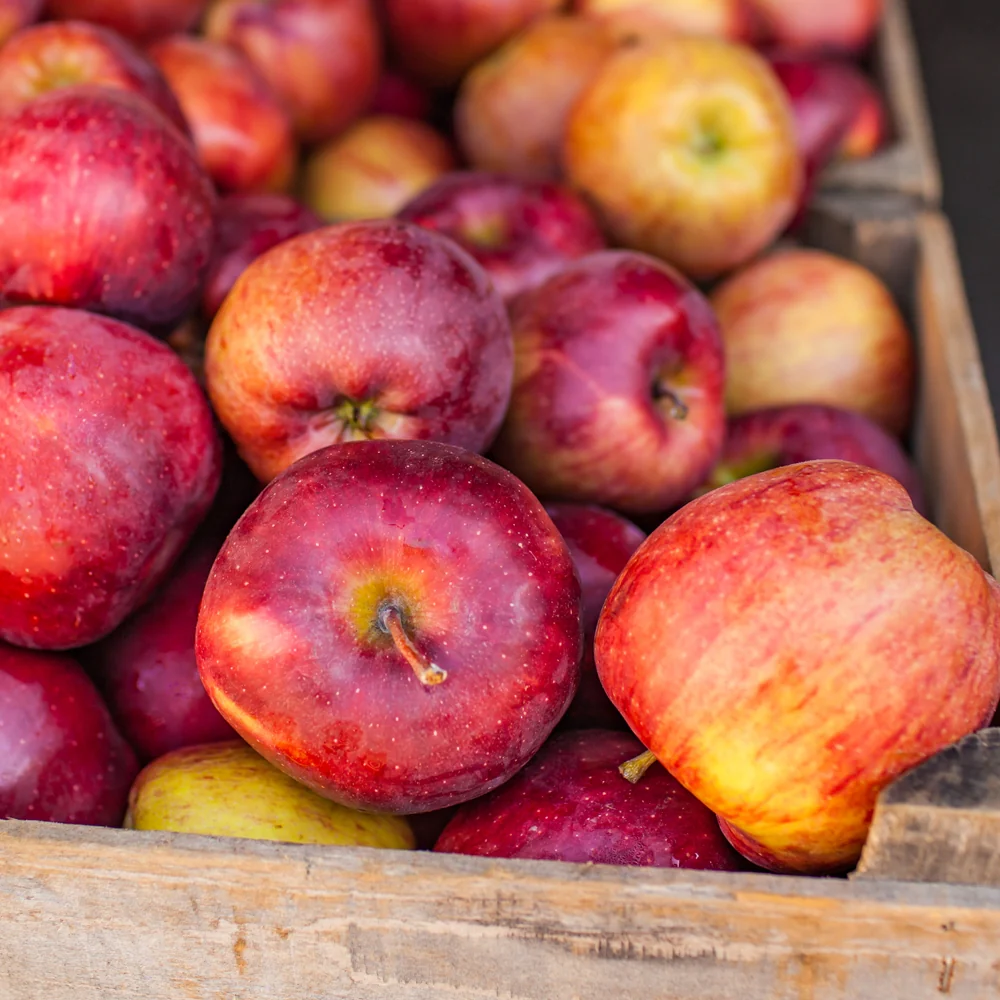 Honeycrisp Apple lb, 허니크리스피 사과 lb - Image 3