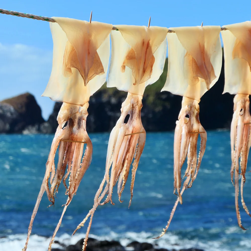 Korean Dried Squid 3pcs/pack, 동해안 건오징어 3마리 - Image 5