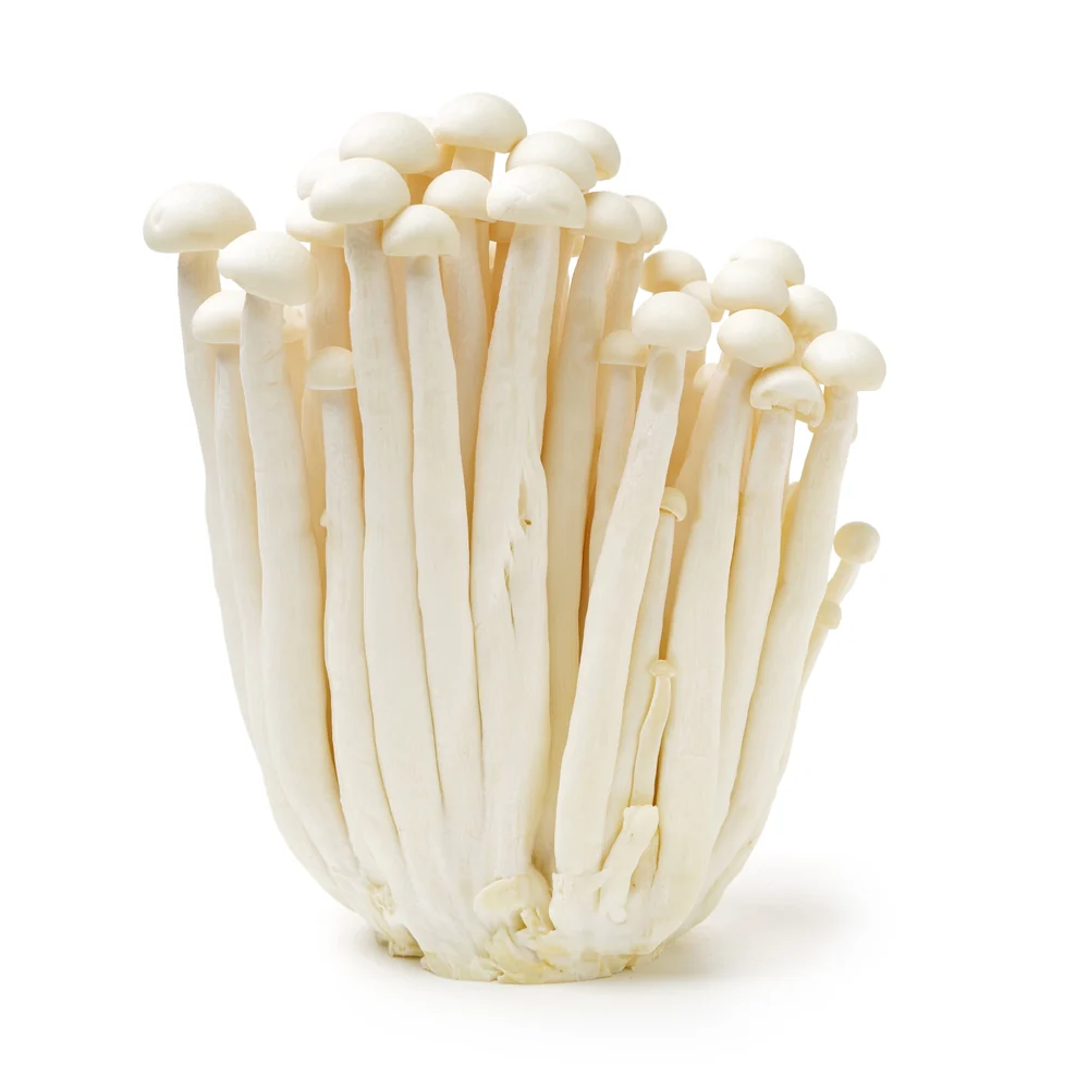 [Local Only] Seafood Mushroom Enoki 1 pack, 팽이버섯 1ea - Image 4