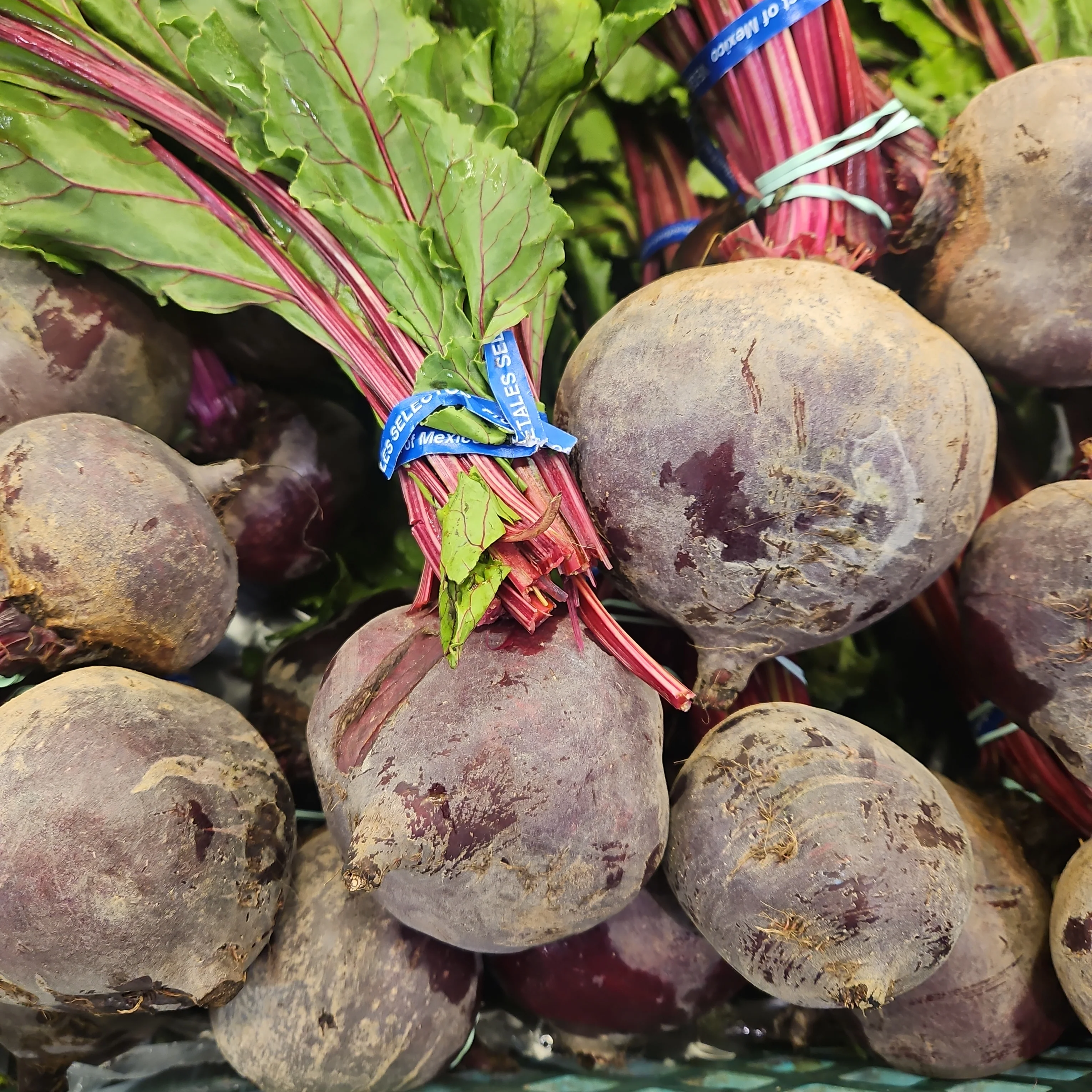 [Local Only] BEET BUNCH ea , 비트 번치 ea