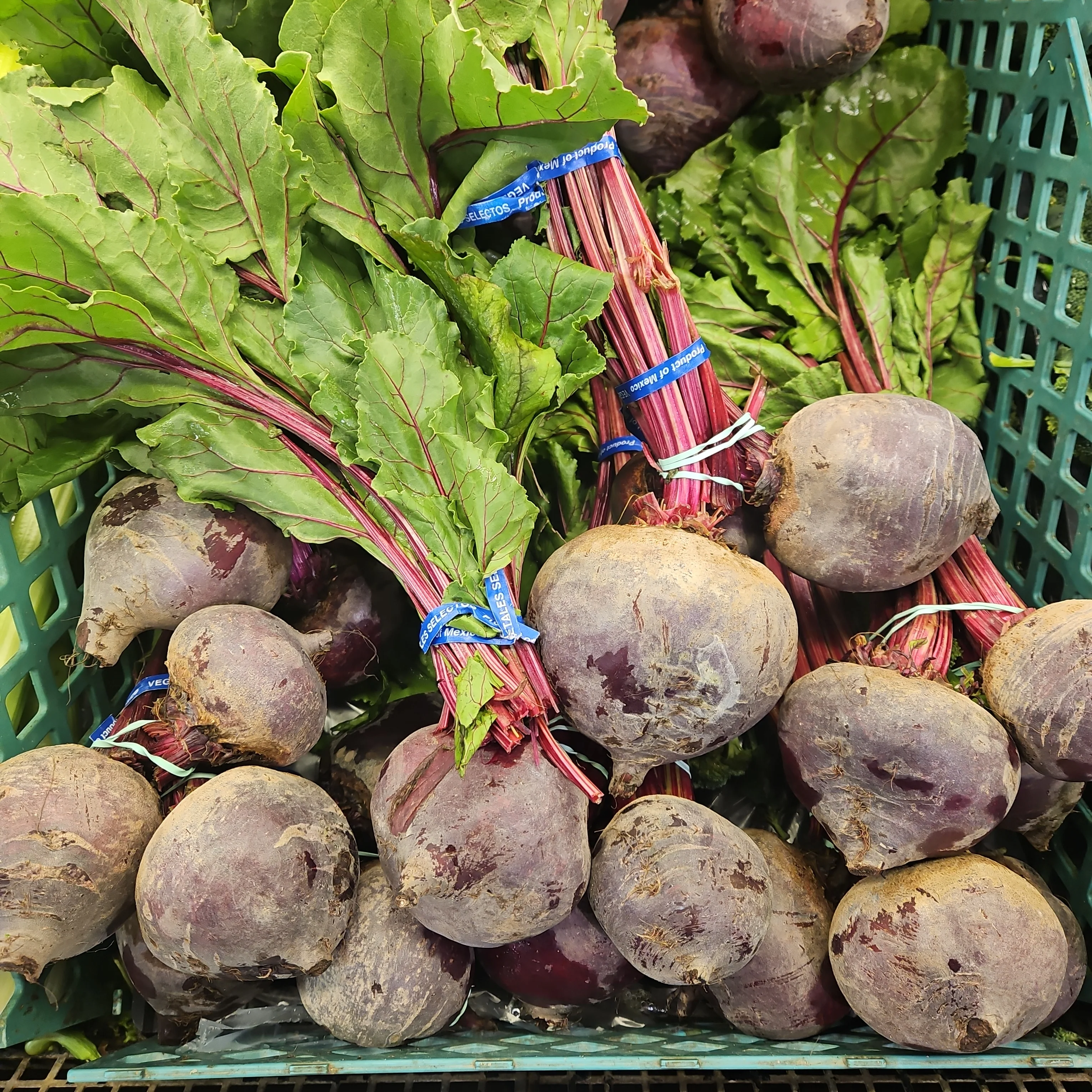 [Local Only] BEET BUNCH ea , 비트 번치 ea - Image 2