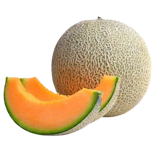 [Local Only] CANTALOUPE ea / 캔탈롭 ea