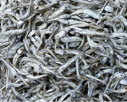DRIED ANCHOVY (MEDUM) , 고추장 볶음멸치 , 3.3LB