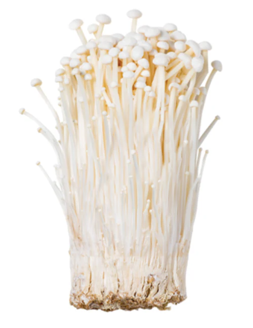 [Local Only] ENOKI MUSHROOM EA , 팽이버섯  EA