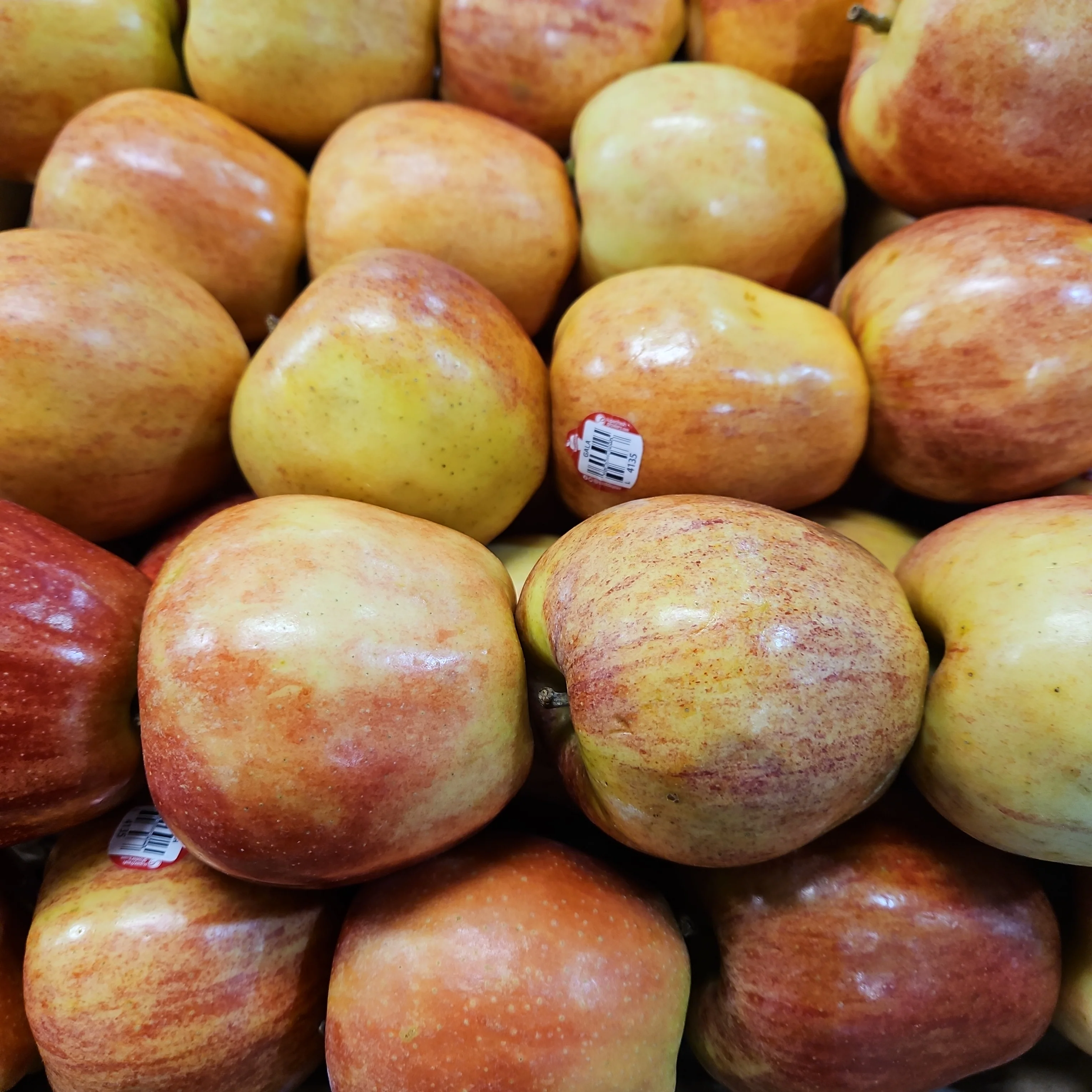 [Local Only] GALA APPLE lb, 갈라 사과 lb (1lb = 약 2ea)