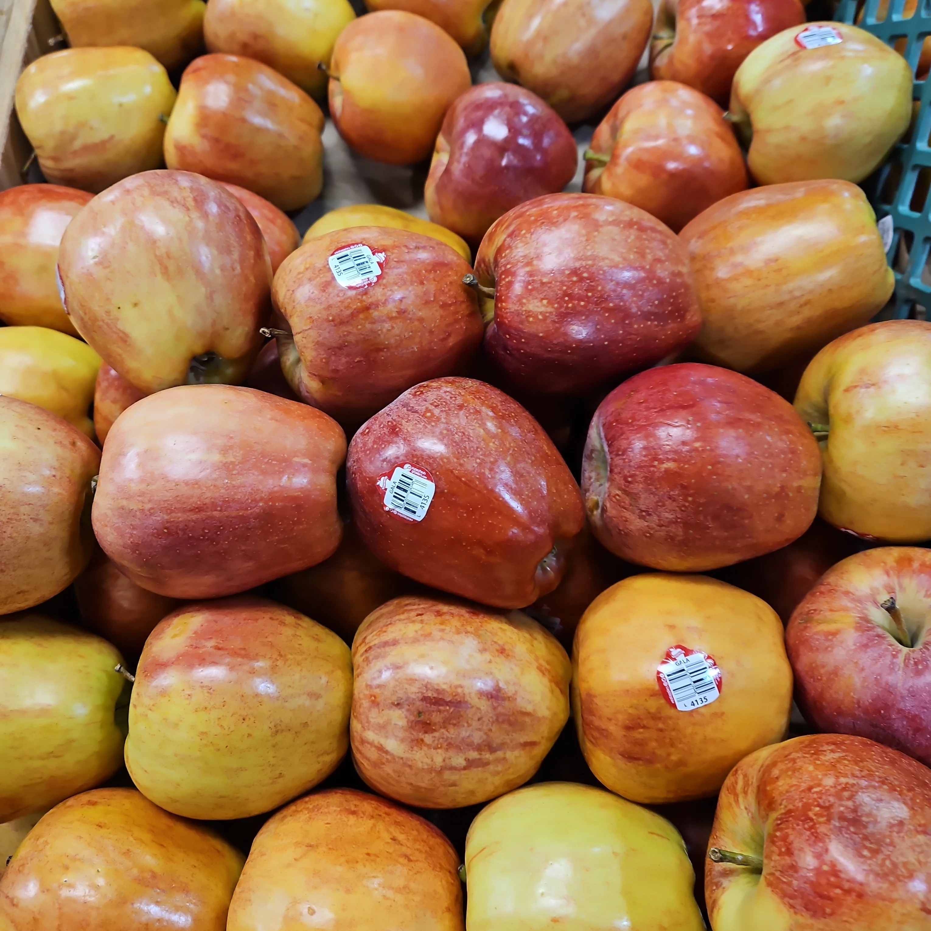 [Local Only] GALA APPLE lb, 갈라 사과 lb (1lb = 약 2ea) - Image 2