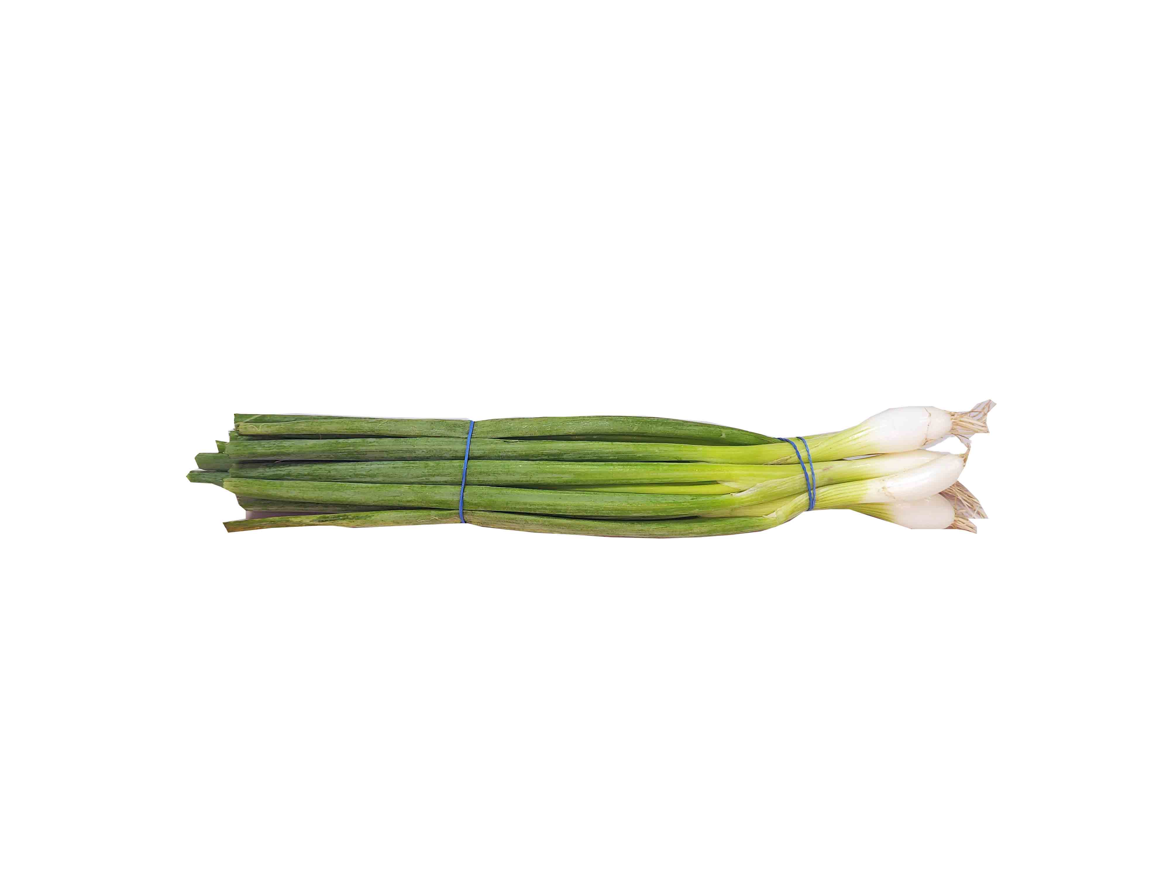 [Local Only]  GREEN ONION ea , 파