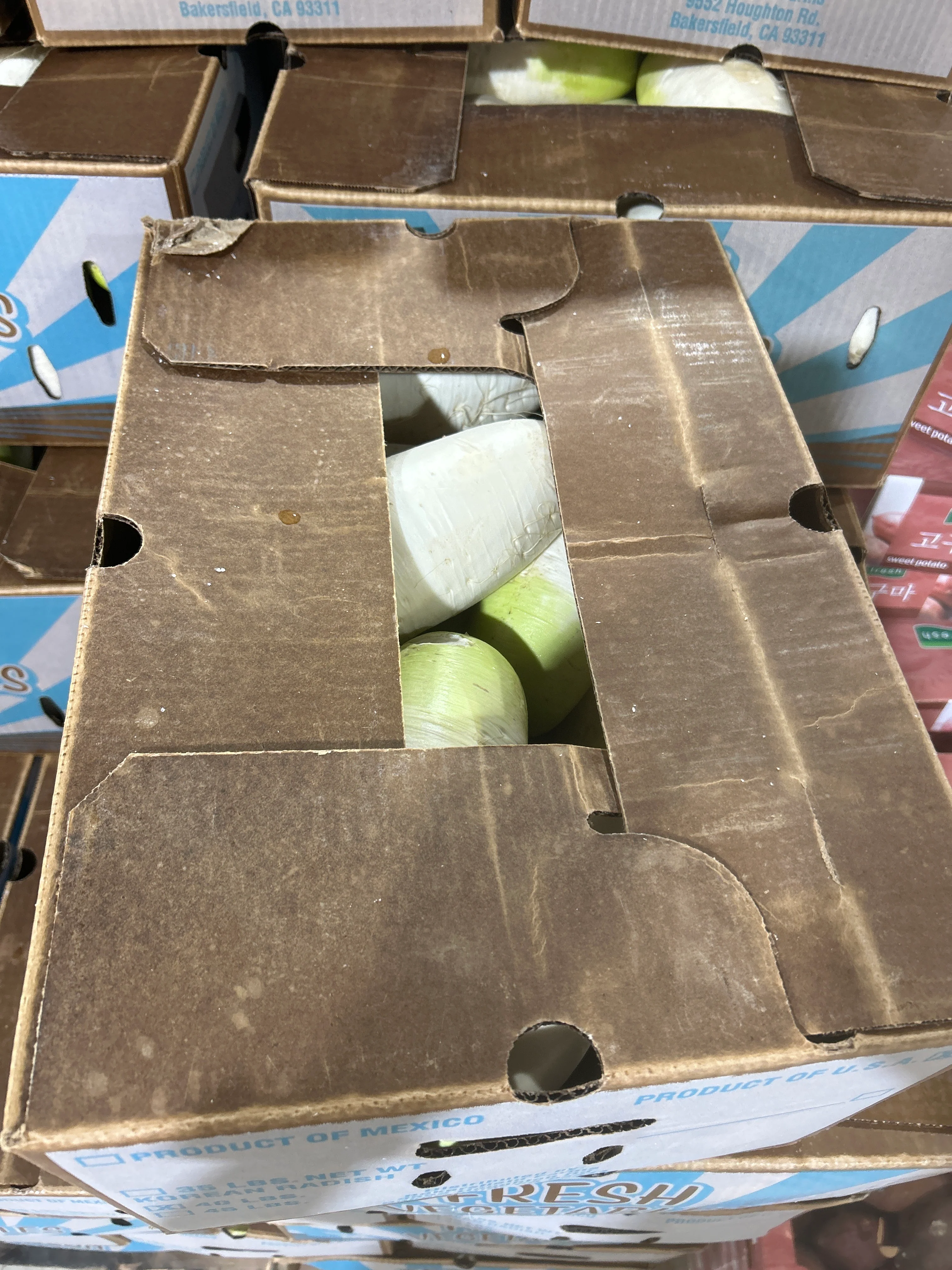 [Local Only] KOREAN RADISH BOX , 한국 무 BOX - Image 2