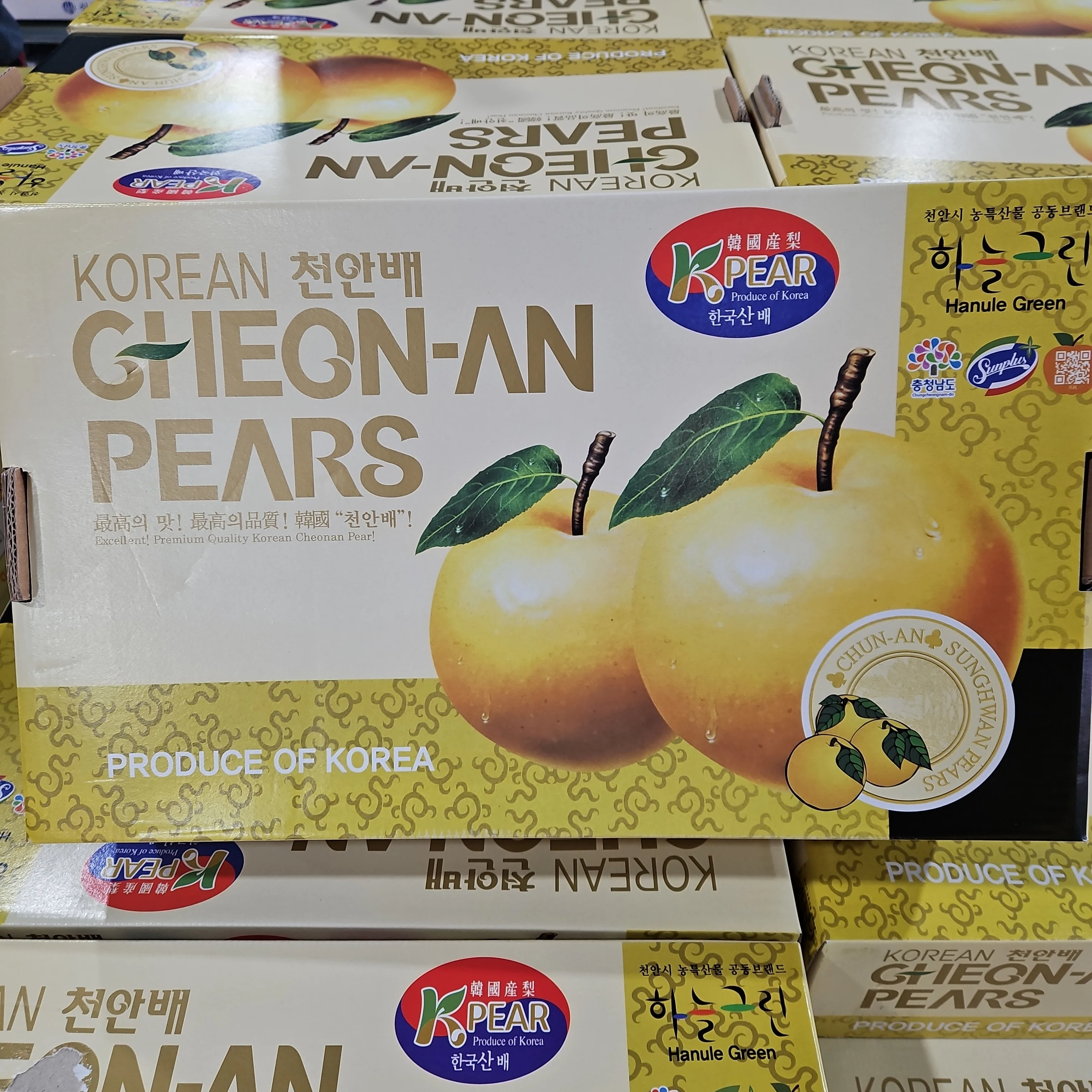 KOREAN SINGO PEAR 7CT /BOX , 한국산 신고배 7과 BOX