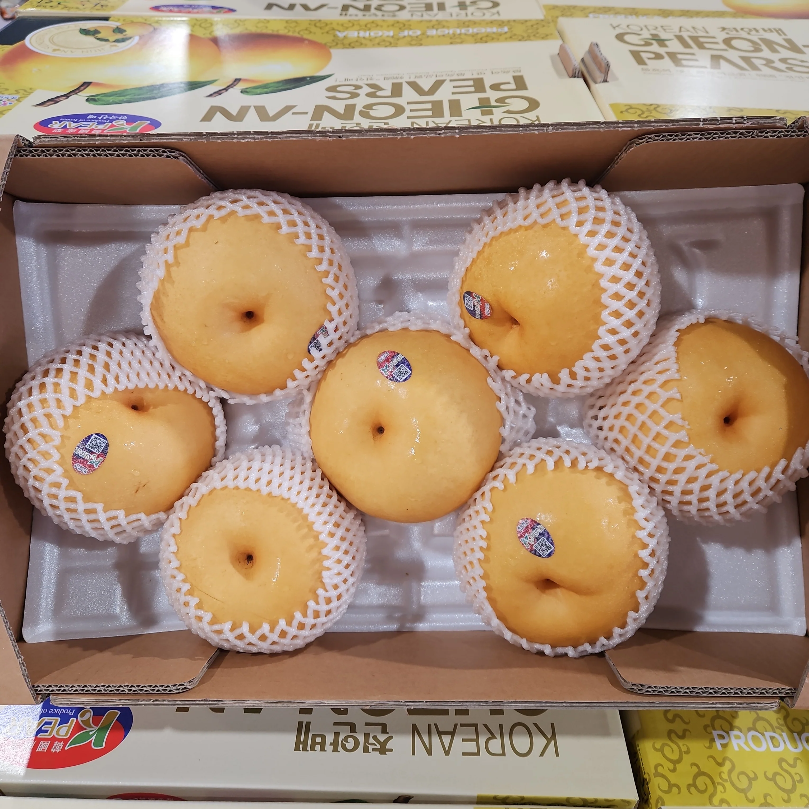KOREAN SINGO PEAR 7CT /BOX , 한국산 신고배 7과 BOX - Image 2
