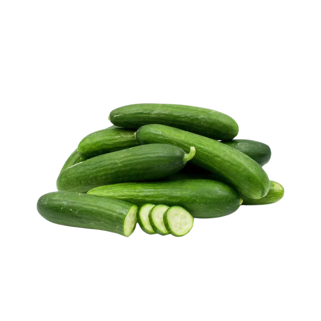 PERSIAN CUCUMBERS lb ,페르시안 오이 lb