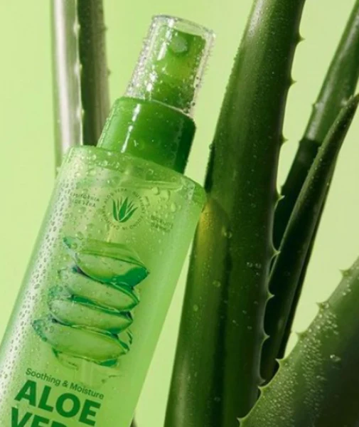 MOISTURE ALOE VERA EMULSION,네이처 리퍼블릭 마일드 앤 모이스처 알로에 베라 에멀전 155 ml - Image 3