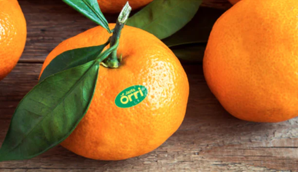 ORRI MANDARINE , 오리 만다린 LB