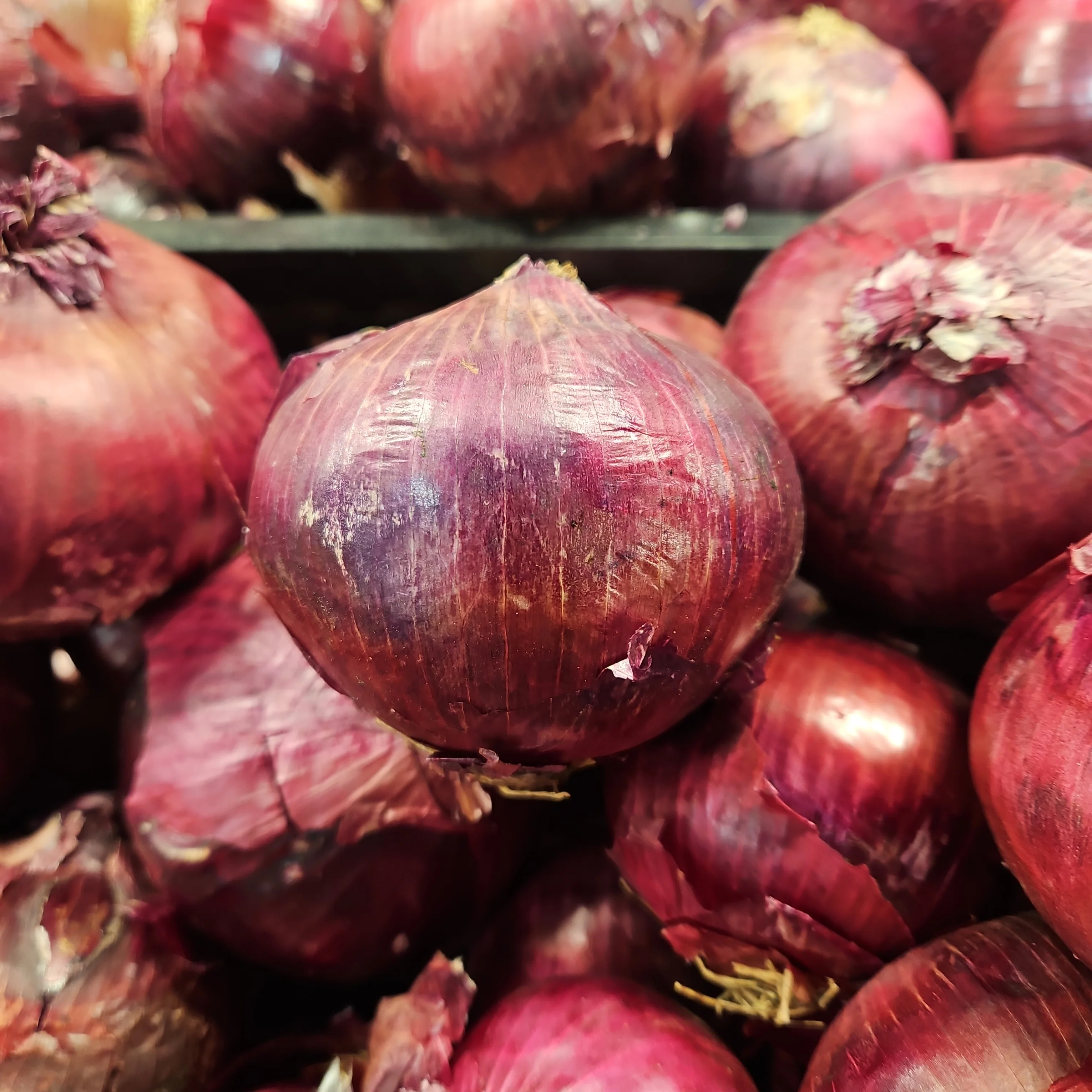 RED ONION lb, 빨간 양파 LB (lb = 약 3개)