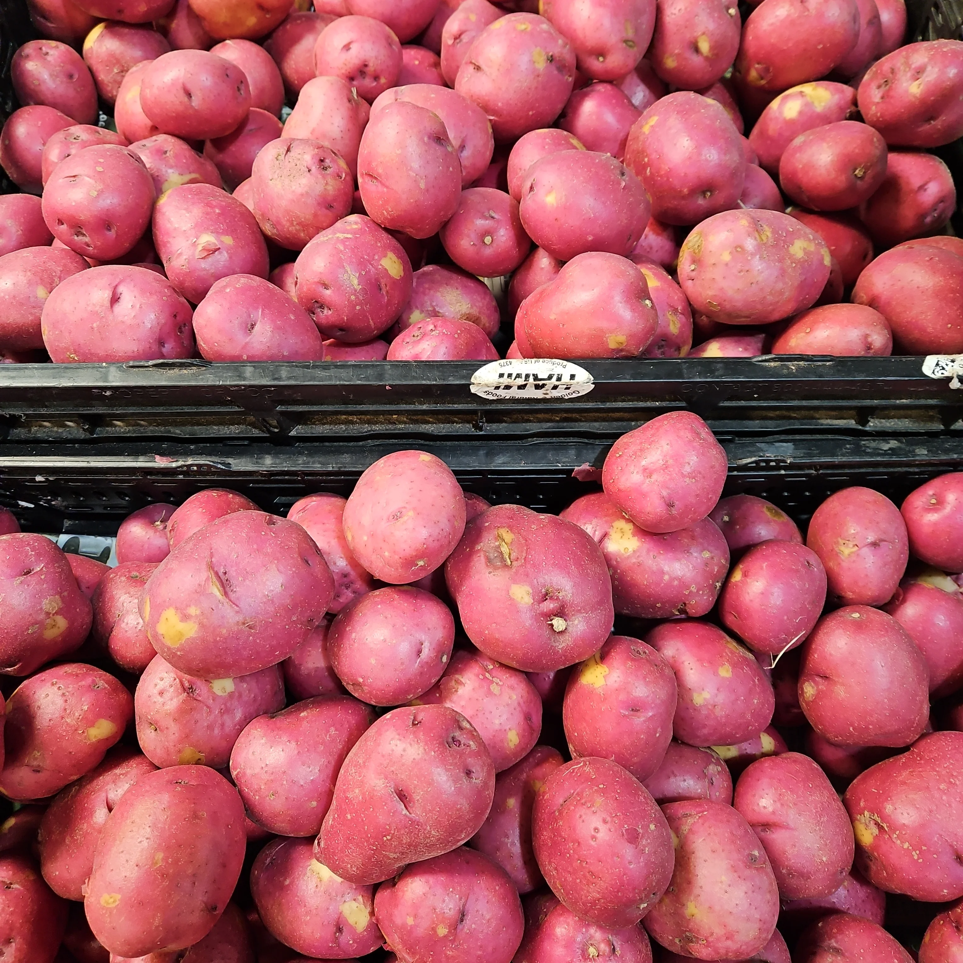 RED POTATO PAPA ROJA LB , 빨간 감자 LB (1lb = 약 4개) - Image 2