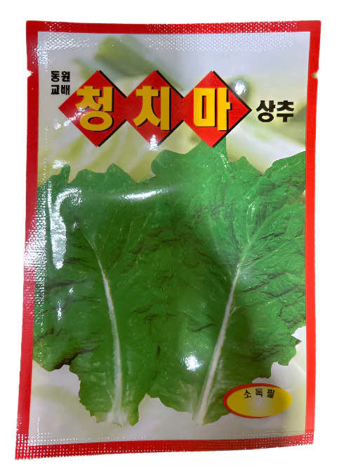 Seed 1pk Lettuce , 씨앗 청상추 1 팩