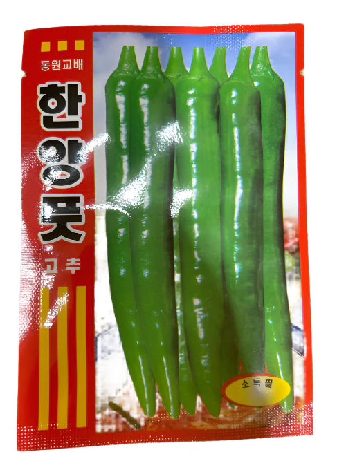 Seed Green chili pepper 1pk , 씨앗 풋고추 1 팩