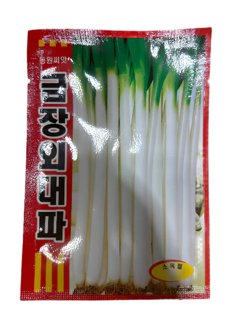 Seed  Green onion  1pk , 씨앗 대파 1 팩