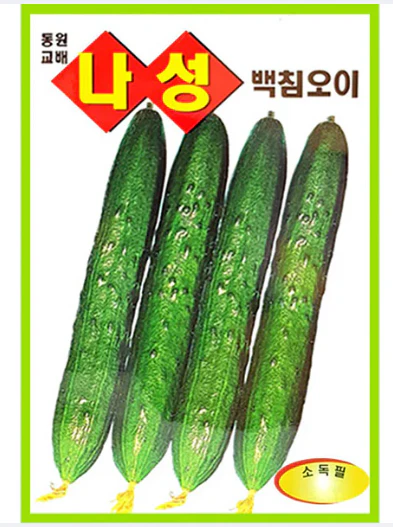 Seed Cucumber 1pk  , 씨앗  나성백침오이 1팩