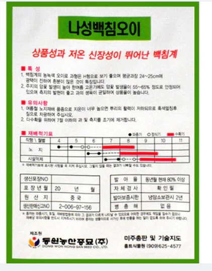 Seed Cucumber 1pk , 씨앗 나성백침오이 1팩 - Image 2