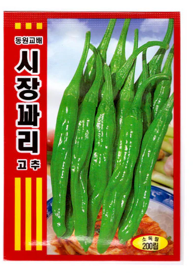 Seed Korean  1pk  ,꽈리 고추  1팩