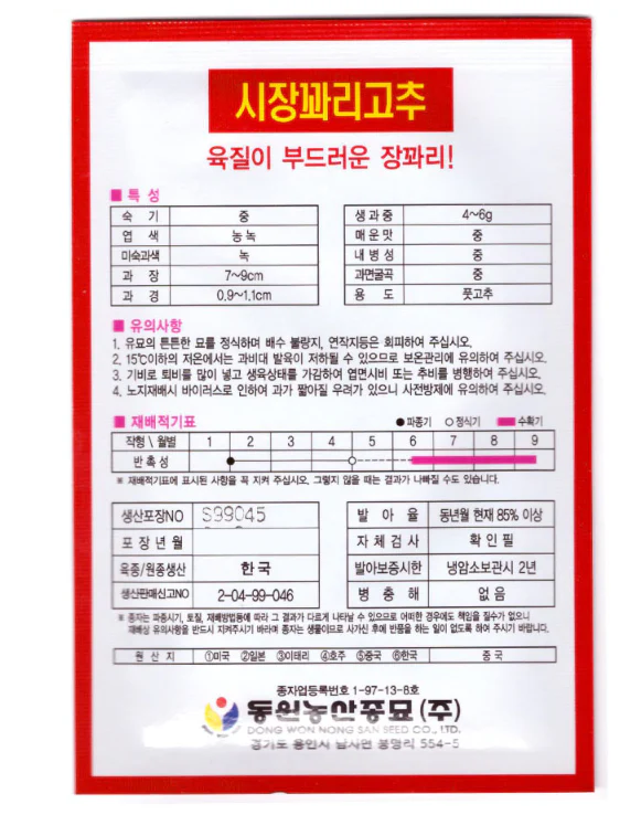 Seed Korean 1pk ,꽈리 고추 1팩 - Image 2
