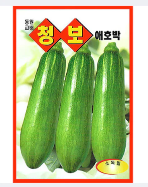 Seed Korean  1pk, 청보 애호박 1팩