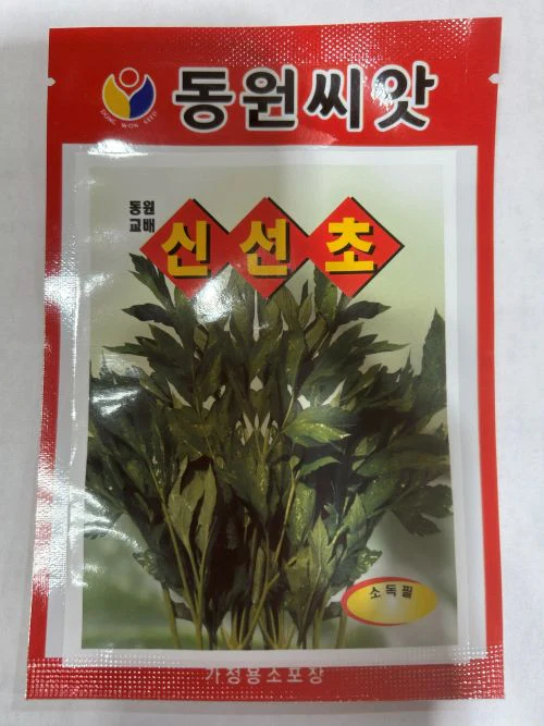 Seed Korean  1pk  , 씨앗  일당귀 1팩